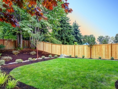 What You Need to Landscape Your Yard